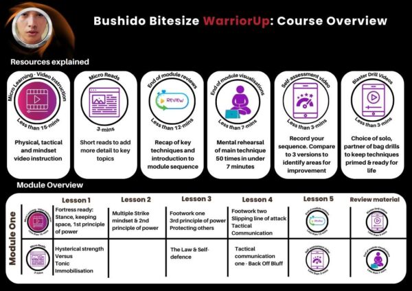 WarriorUp Overview 1