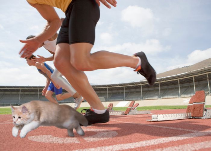 Reaction speed is slow for humans Human reaction speed is around 200 milliseconds